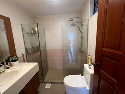 Emerald Park (D3), Condominium #456036451